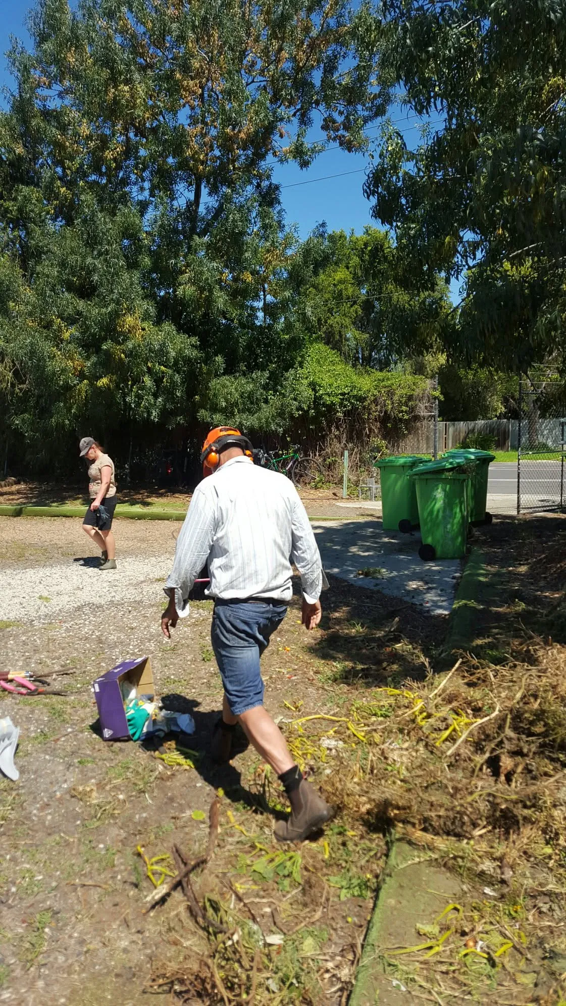 Maribyrnong Edible Garden — photo 36
