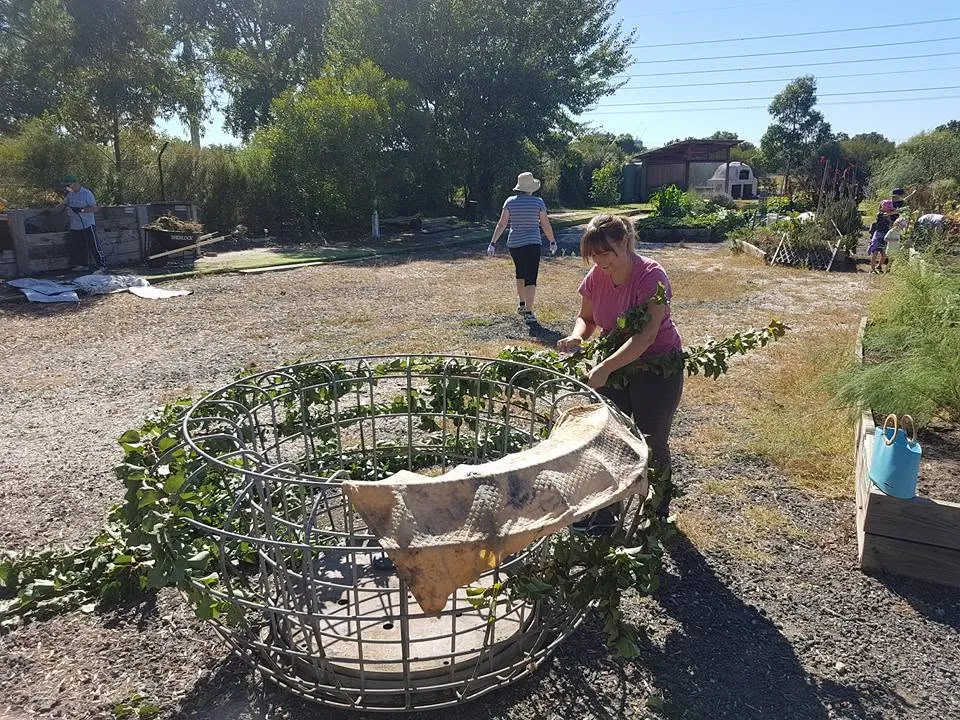 Maribyrnong Edible Garden — photo 39