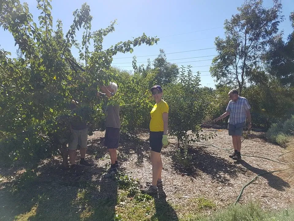 Maribyrnong Edible Garden — photo 40