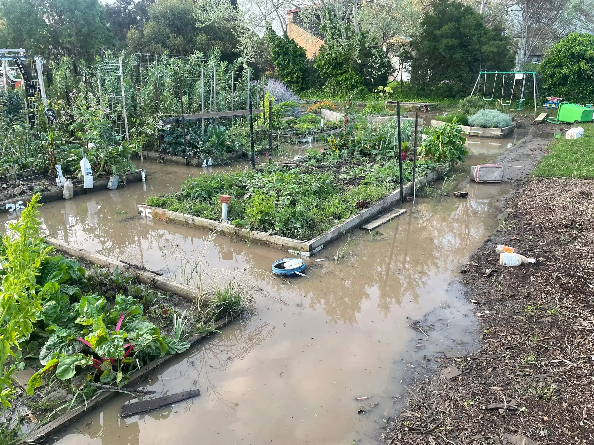 Maribyrnong Edible Garden — photo 71