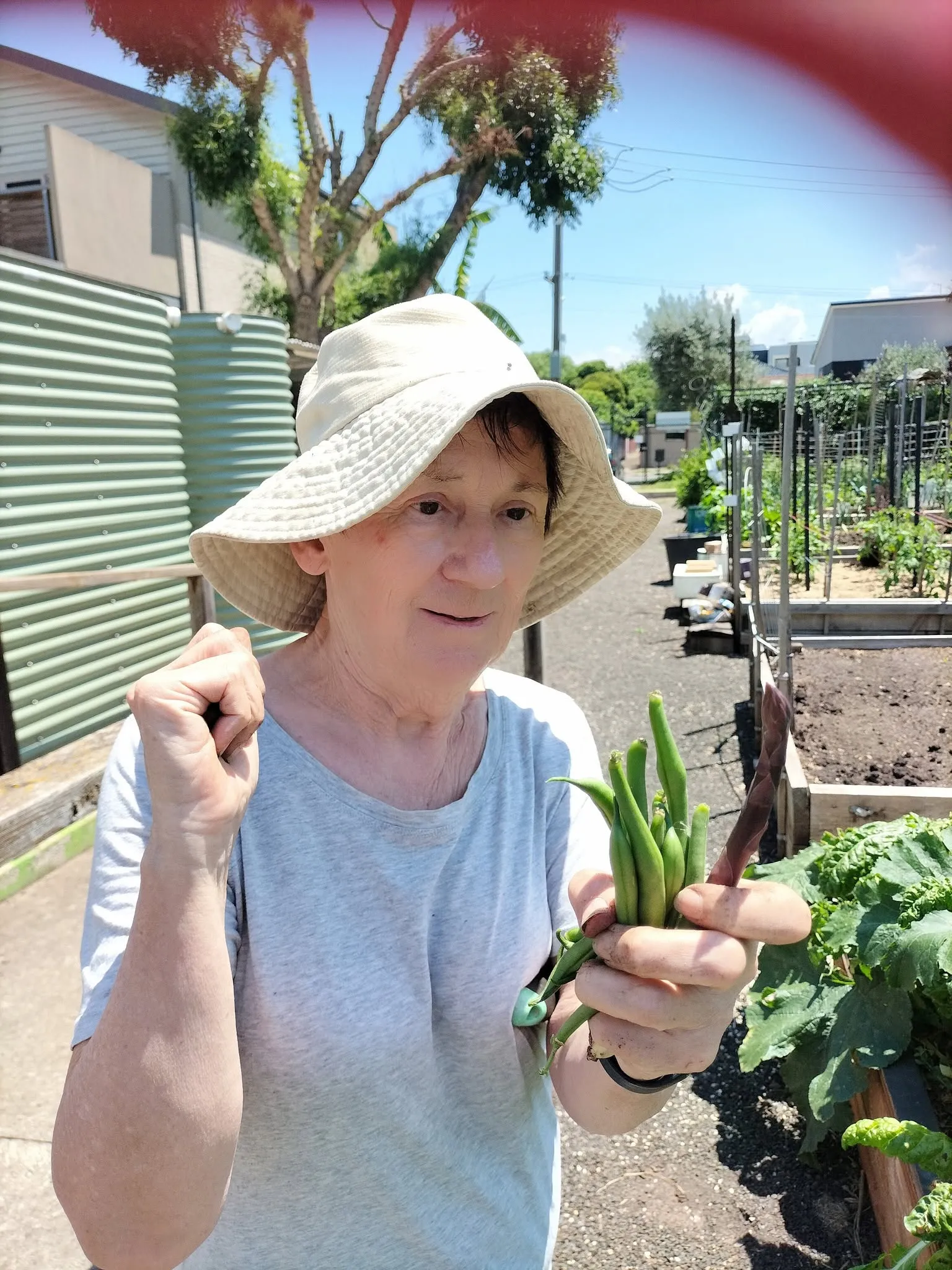 Maribyrnong Edible Garden — photo 115
