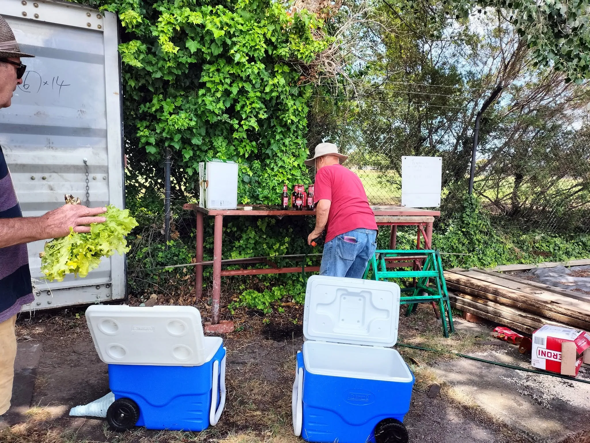 Maribyrnong Edible Garden — photo 120