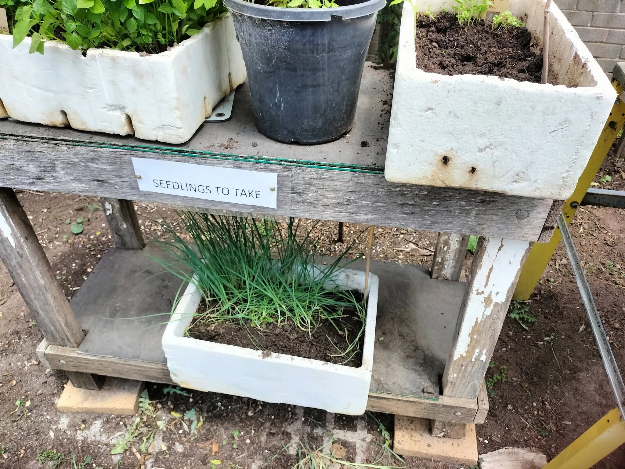 Maribyrnong Edible Garden — photo 141